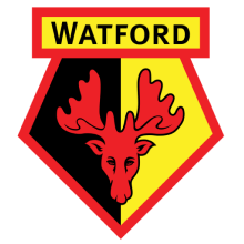 ФК Уотфорд - кубок чемпионата англии